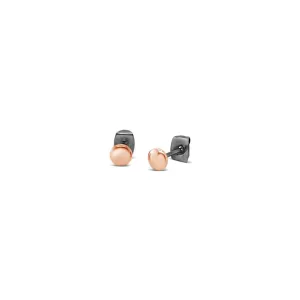 Rose Gold Plated Small Disc Studs